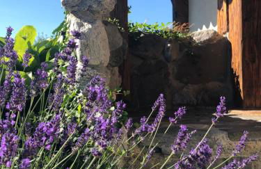 Ferienwohnung Design & Natur - Foto 21