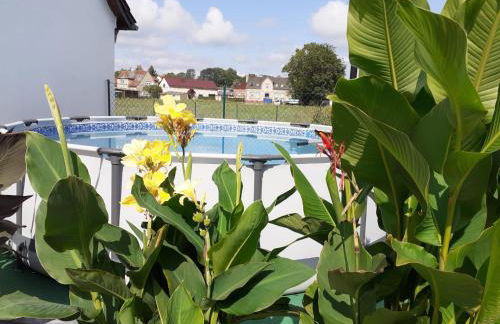 Ferienwohnungen Kusche - Foto 6