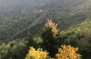 A Panoramic Retreat - Unità 5 - Foto 31