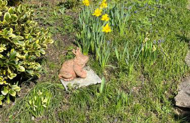 EMI2 Modern Apartment Free Parking Near Swiss Border - Foto 50