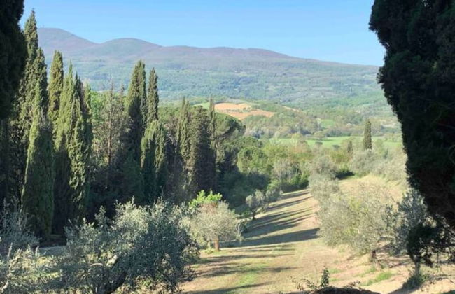 Villa Febea - Casa Delle Farfalle 6 Posti Letto-casa Delle Farfalle 6 Posti Letto - Foto 20