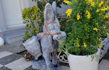 Studio Mimika - Foto 16