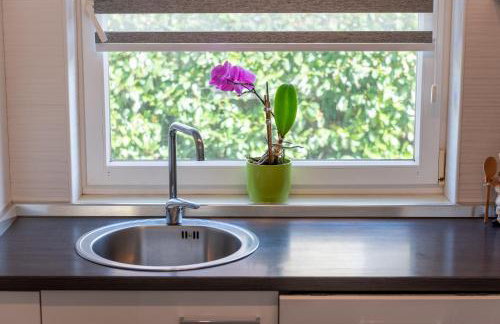 Apartman Magdalena - Photo 40