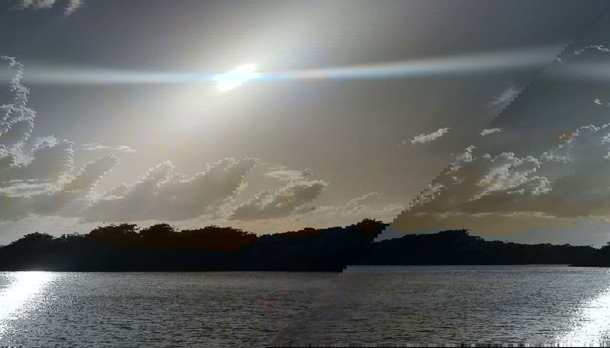 Coucher de soleil sur la réserve ornithologique de Caroni