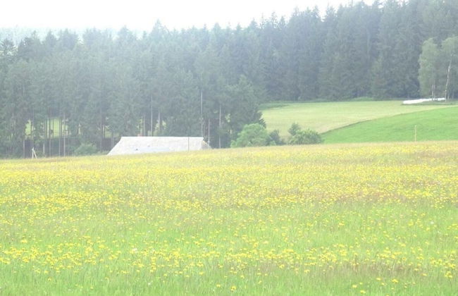 Holiday Apartment Owl's Nest - Foto 13