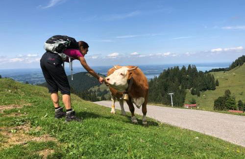 Ferienwohnung Sonnenblick - Foto 21