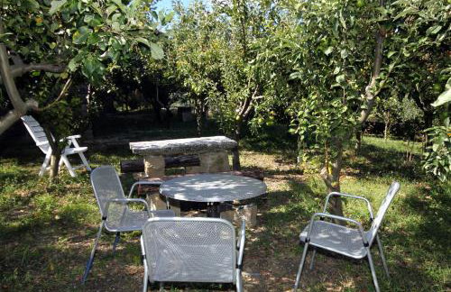 Apartments with WiFi Groznjan, Central Istria - Sredisnja Istra - 7038 - Foto 21