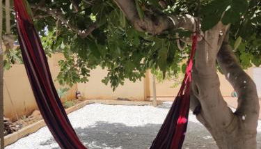 Casa La Higuera - Foto 3, Garden, sunbed