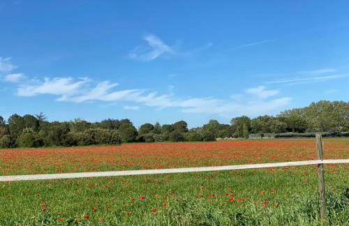 Le Gîte des poiriers - Foto 23
