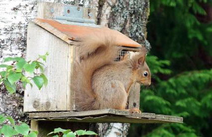 Bunroy Park - Foto 25