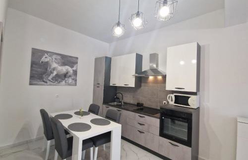 Apartman Ivan - Foto 27