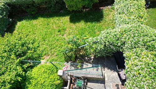 Nina - Foto 5, Garden, Garden view