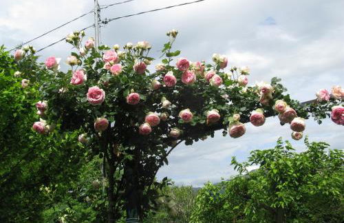 Agriturismo La Vigna - Foto 57