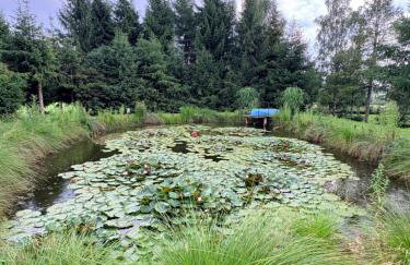 Domki nad Stawem Uherce - Foto 3