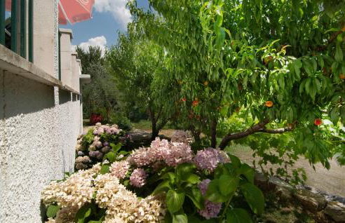 Holiday Home Podaspilje I - Foto 23