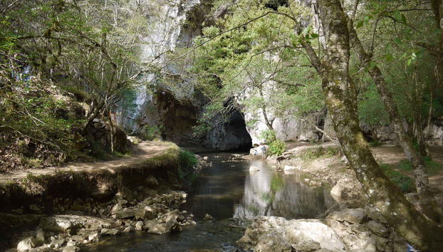 Rancho Nuevo & El Arcotete Tour - Foto 4