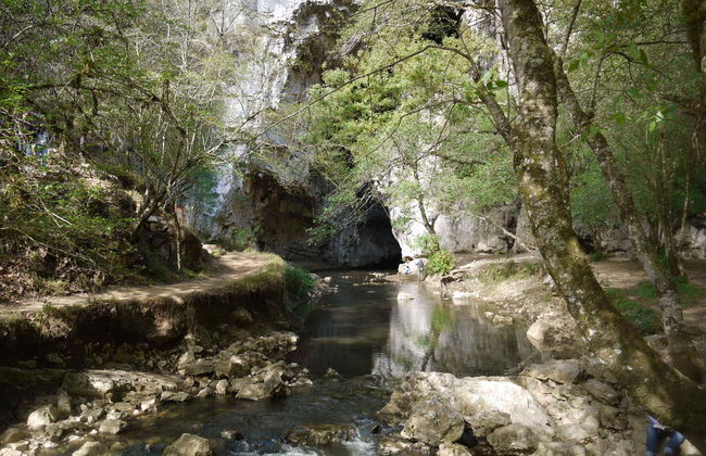 Escursione al Parque Ecoturístico Rancho Nuevo e a El Arcotete - Foto 3
