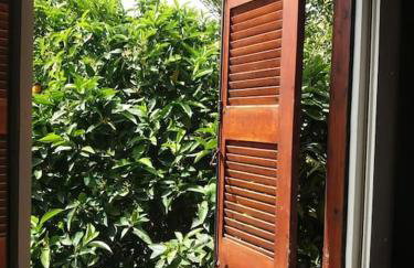 Ideal Cottage Holidays-Ιδανικές Εξοχικές Διακοπές - Foto 15