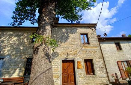 CASINA LA QUERCIA - Foto 1