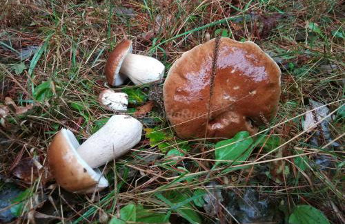 Apartamentos Casa de Riba - Foto 42