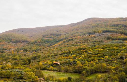 La Seguirilla del Jerte - Foto 54