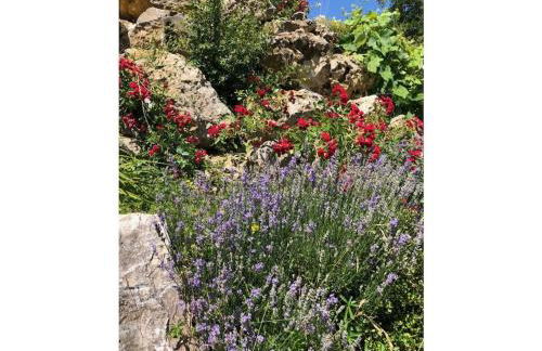 in Haus Kallenberg - Foto 7