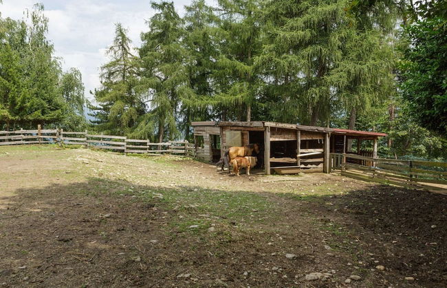 Unique Holiday Experience in Greenery near Lake - Foto 27