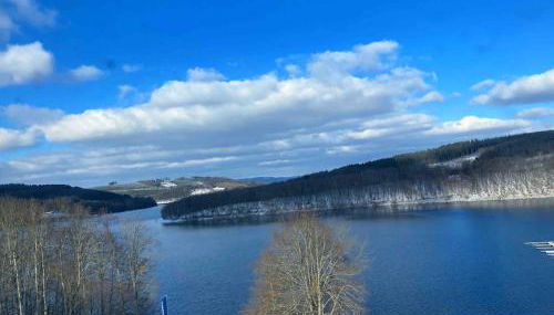 #4 Ommi Kese Suite PIRAT Sauna Balkon Seeblick - Foto 3