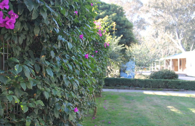 BIG4 Seymour Holiday Park - Foto 35