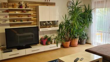 Ferienwohnung im Schwarzwald - Foto 3