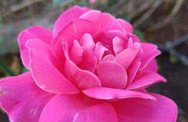 Oropos Relax View - Foto 47