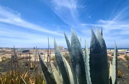 Green Ocean House - Origo Mare - Foto 31