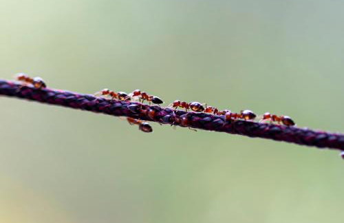 Kuća za odmor Divna MaTi - Foto 35