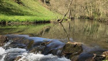 Winnow Barns Holidays - Foto 3