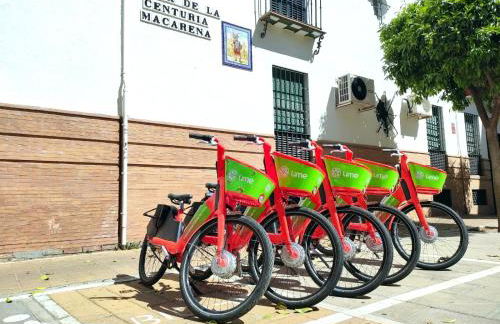 Apartamento Macarena, en el Centro de Sevilla, con AC - Foto 36