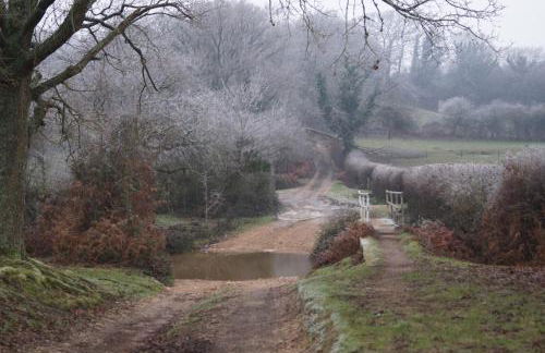 Corner Cottage - character, charm, great location. - Foto 78