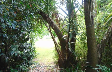 Casa Landim - Foto 35