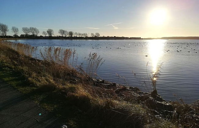 Huus Schippe "stockholm" - Foto 16