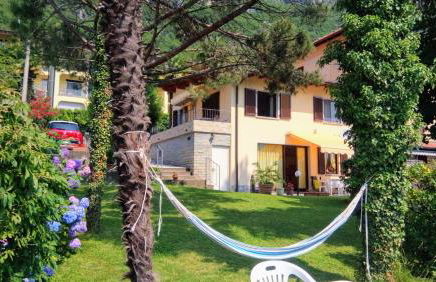 Le palme Antonella - Foto 7