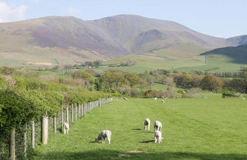 Taylor's Cottage - Foto 41