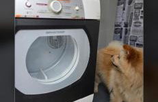 Studio Luxo decorado total Ar condicionado - Foto 6