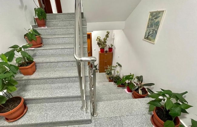 Apartments Boreta Becici - Foto 24