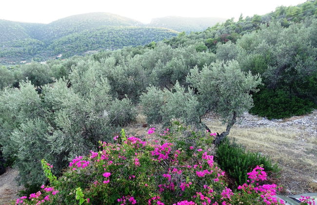 Aristides Homes - Foto 27