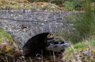 Kennels Cottage - Foto 33