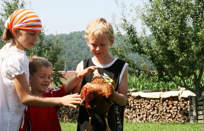 Erlebnisbauernhof Tschom - Foto 71