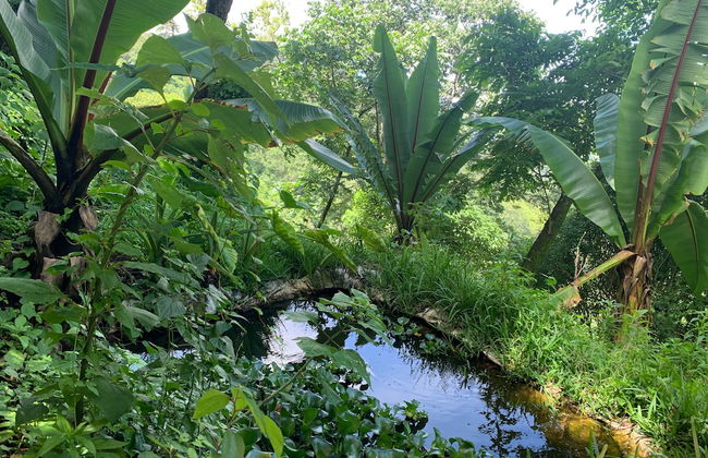 Finca El Tambor - Foto 63