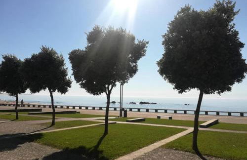 Casa do Sol - Entre o Mar e o Pinhal - Foto 49