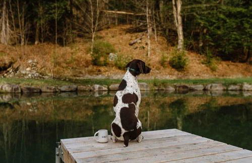 Sage House at Camp Greenwood Vermont with Sauna - Foto 36