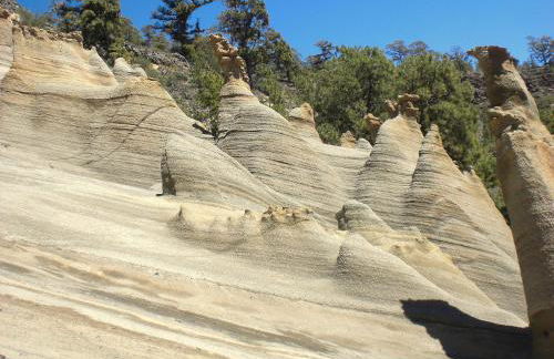 NEW VIP piscina y gimnasio - Foto 49