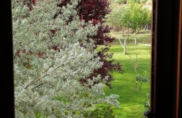 Casa del Rio - Foto 37